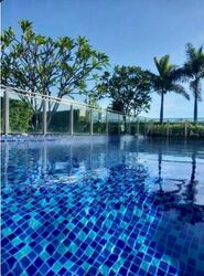 Sunny Lodge (D14), Apartment #458043941